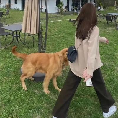 黑礁第三季